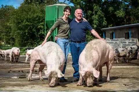 Andarl Farm